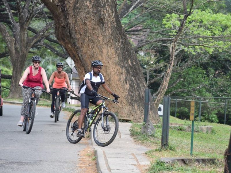 Half Day Cycling Tour in Kandy