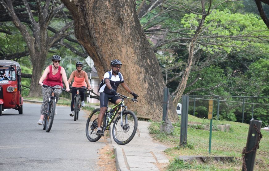 Half Day Cycling Tour in Kandy