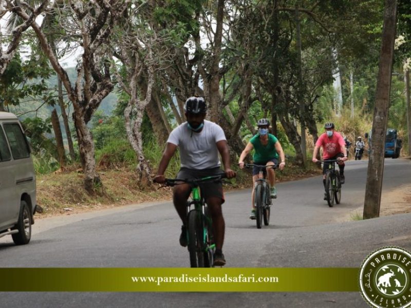 Full Day Cycling Tour in Kandy