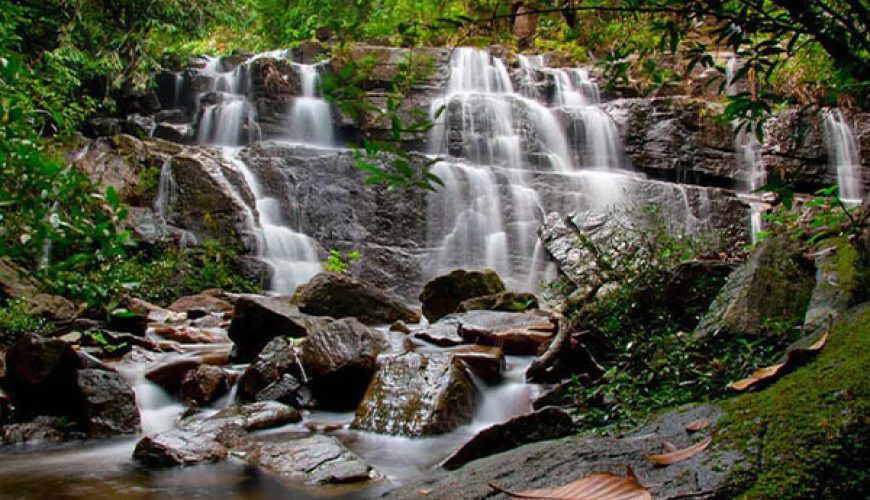 Makandawa Forest Reserve
