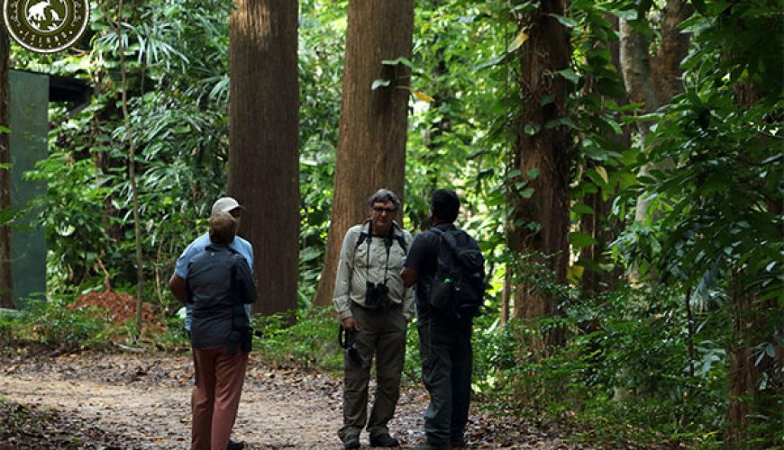Udawattekele Forest